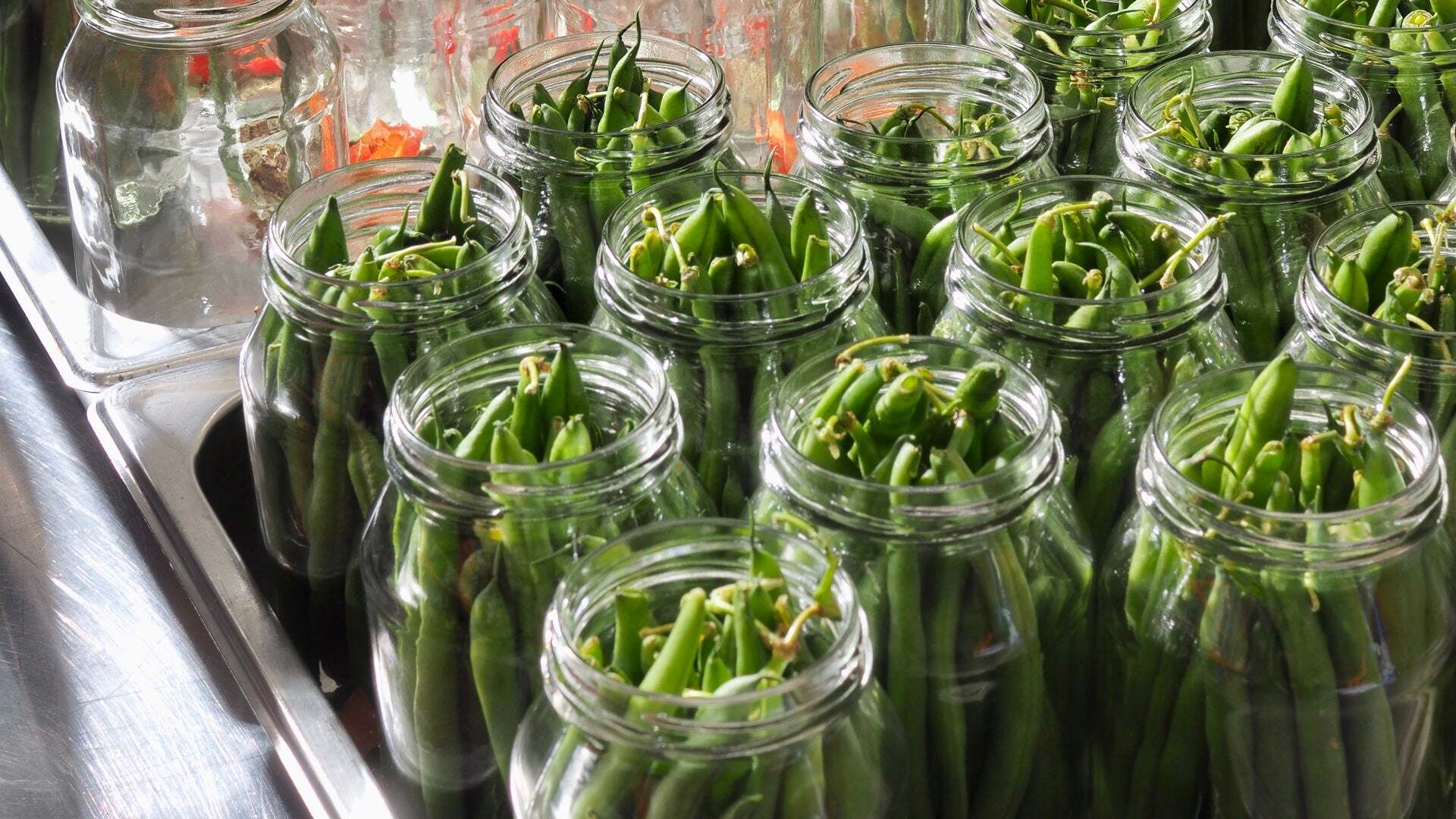 crisp-pickled-green-beans-recipe
